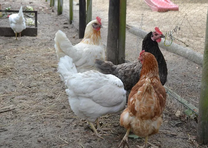 Ferienanlage Duhnen * Cuxhaven